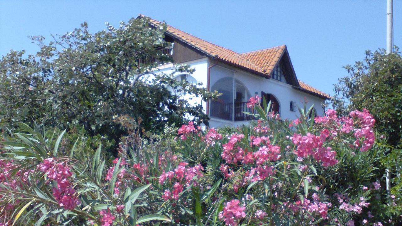 Villa Iris Vrasná Esterno foto